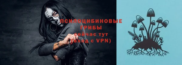 первитин Белокуриха