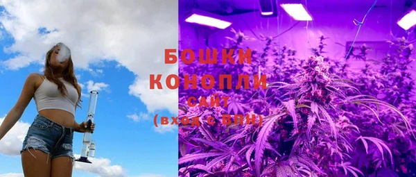 дживик Богородск