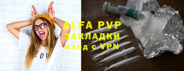 шишки Белоозёрский