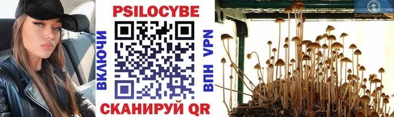 Псилоцибиновые грибы Cubensis  Купить закладки  Полтавская 